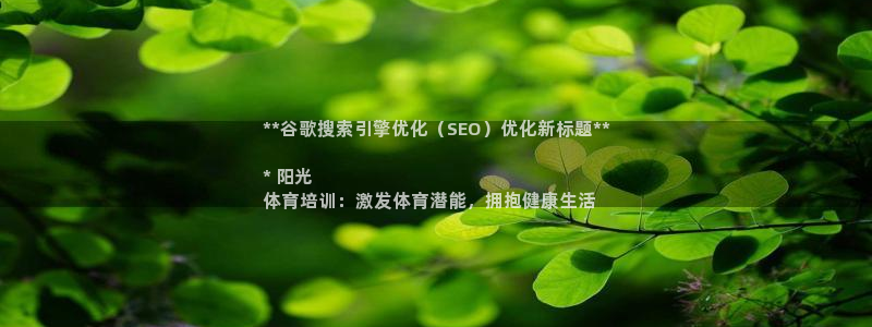 耀世娱乐平台主管：**谷歌搜索引擎优化（SEO）优化