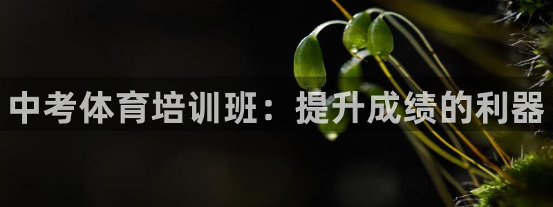 耀世集团商业联盟招聘：中考体育培训班：提升成绩的利器