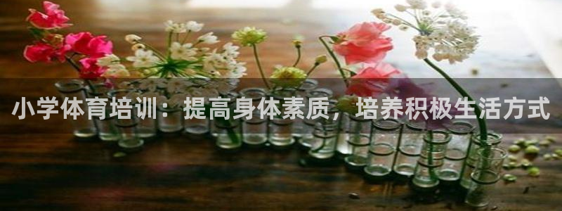 耀世集团王总简介：小学体育培训：提高身体素质，培养积